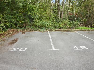 Picture 10